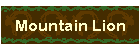 Mountain Lion